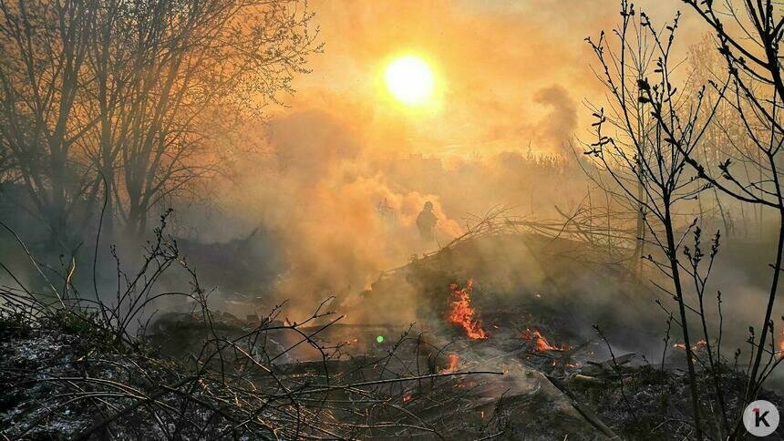 В Тихорецком тупике из-за пала травы загорелись покрышки вблизи построек (фото) - Новости Калининграда | Фото очевидца