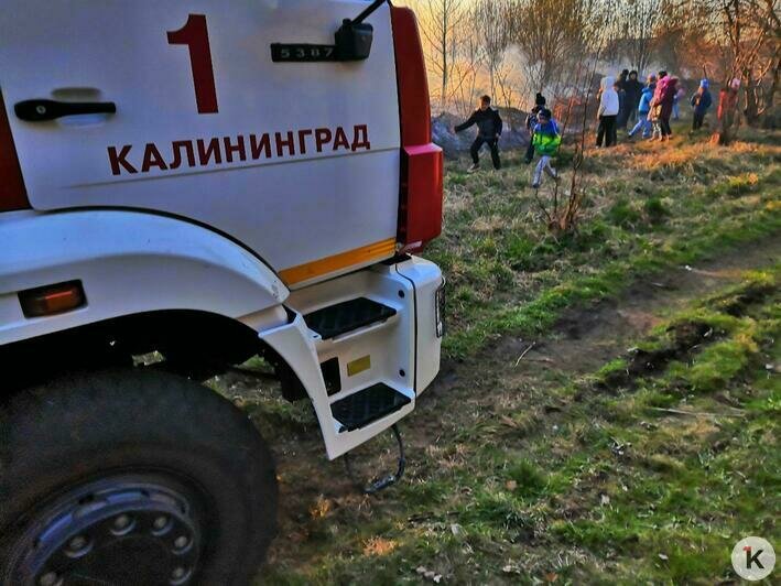 В Тихорецком тупике из-за пала травы загорелись покрышки вблизи построек (фото) - Новости Калининграда | Фото очевидца