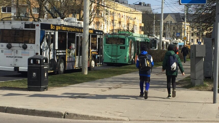 В Калининграде на ул. Театральной встали троллейбусы - Новости Калининграда | Фото: очевидец