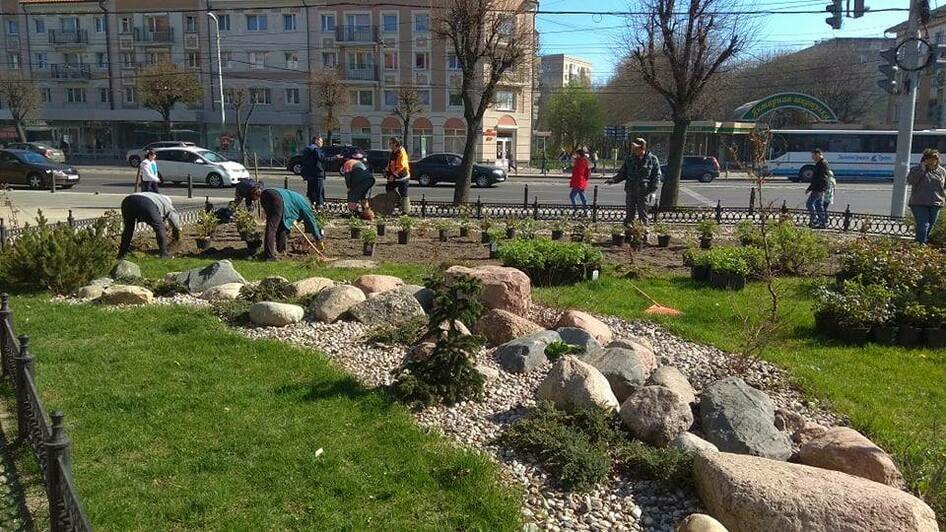 На ул. Барнаульской в Калининграде появился розарий - Новости Калининграда | Фото: пресс-служба администрации Калининграда