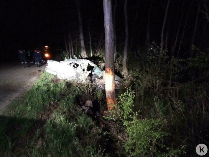 В Зеленоградском районе Audi врезался в дерево, водитель с переломами скрылся (фото) - Новости Калининграда | Фото очевидца