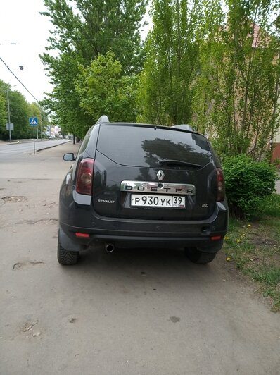 "Водитель, ты судак": на ул. Дзержинского Renault припарковался на тротуаре - Новости Калининграда | Фото: Очевидец