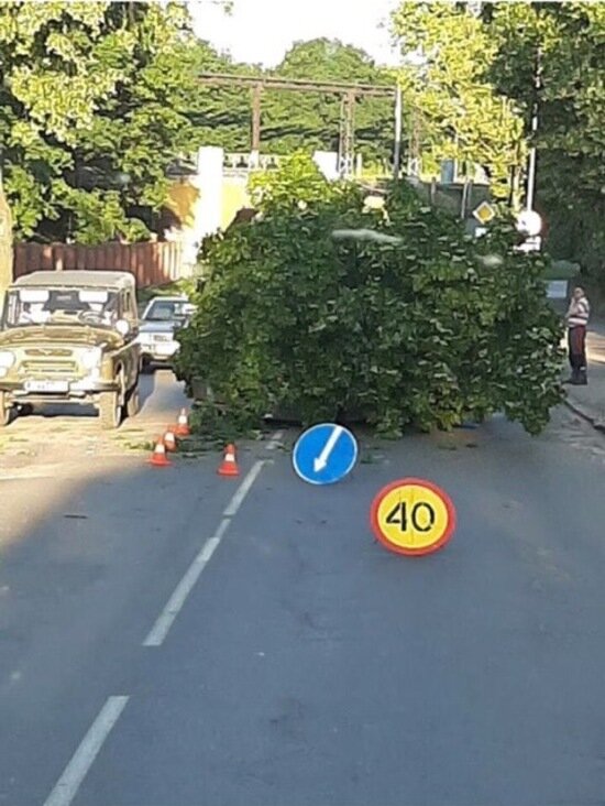 Пьяный водитель уходил от погони ДПС: в полиции рассказали подробности происшествия с BMW в Черняховске - Новости Калининграда | Фото: очевидец