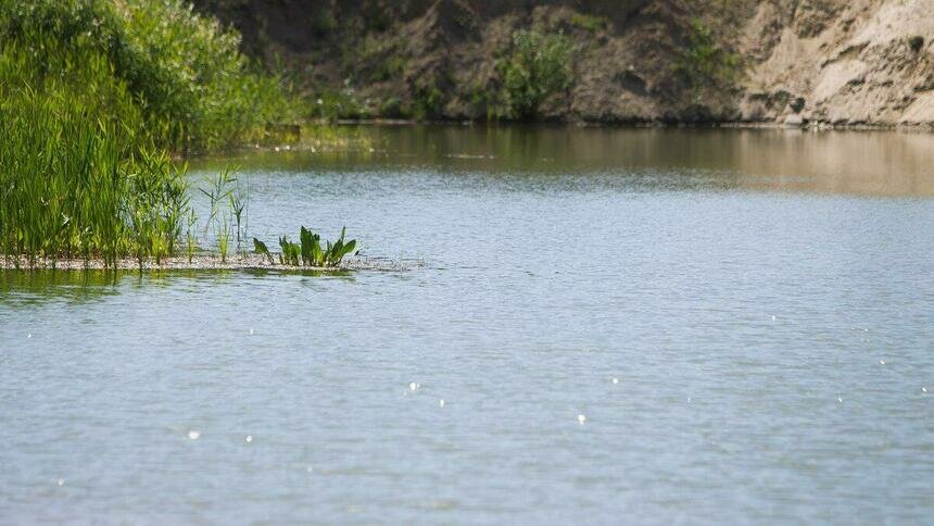 Роспотребнадзор: качество воды в трёх водоёмах области не соответствует нормам - Новости Калининграда | Архив &quot;Клопс&quot;