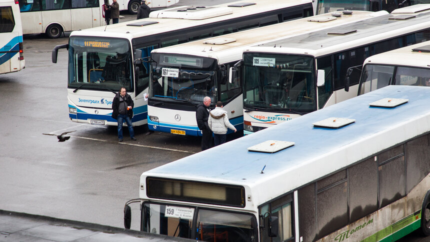 Калининградский автовокзал продал в два раза больше билетов после ухода с рынка нелегалов - Новости Калининграда | Архив &quot;Клопс&quot;