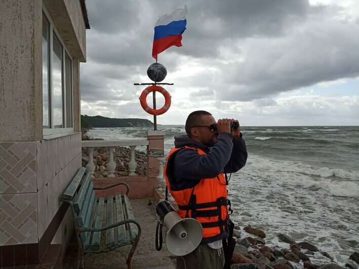 В Светлогорске девочку смыло волной с берега, её вытащил спасатель - Новости Калининграда | Фото: администрация Светлогорского городского округа / Facebook