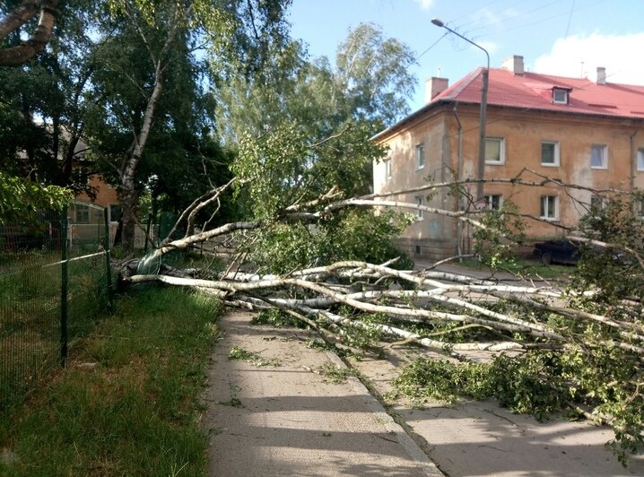 Что сильный ветер натворил в регионе: калининградцы выкладывают фото в соцсетях - Новости Калининграда | Фото: очевидец