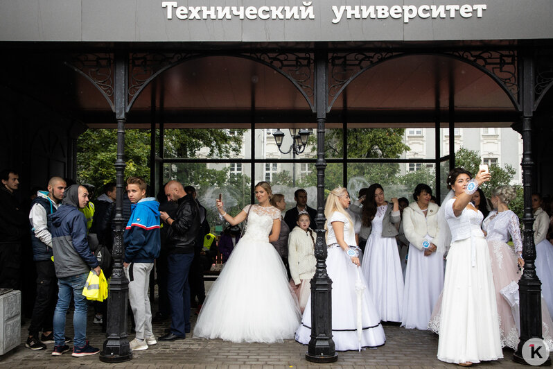 Парад, стритфуд и забег невест: как отмечали День города на пешеходной зоне в Калининграде (фоторепортаж) - Новости Калининграда | Фото: Александр Подгорчук