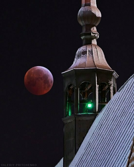 Россияне в ночь на 17 июля увидят лунное затмение   - Новости Калининграда | Фото: Валерий Притченко