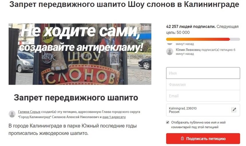 Калининградцы потребовали запретить гастроли цирка-шапито &quot;Шоу слонов&quot; - Новости Калининграда | Скриншот сайта change.org