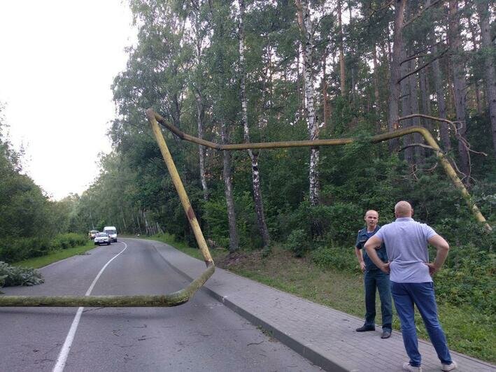 Часть Светлогорска и несколько посёлков остались без газа после того, как грузовик повредил трубопровод - Новости Калининграда | Фото: Александр Матвеев