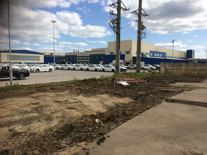 На территории "Автотора" нашли 250-килограммовую авиабомбу времён войны - Новости Калининграда | Фото очевидца