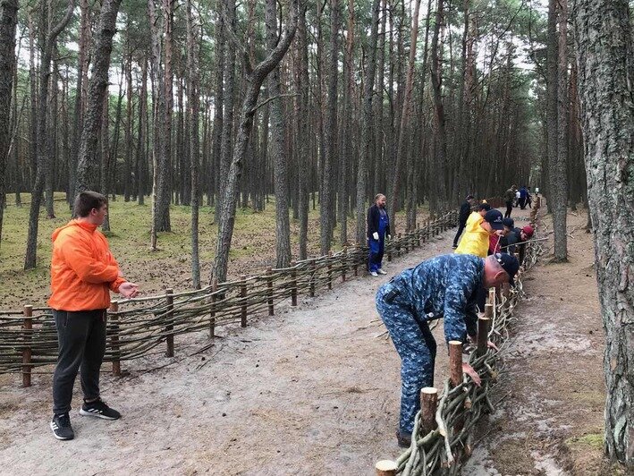 Студенты из девяти стран построили плетень на главной аллее Танцующего леса (фото) - Новости Калининграда | Фото: пресс-служба национального парка &quot;Куршская коса&quot;