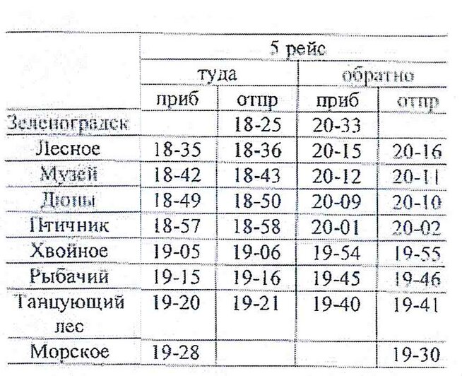 С 12 августа изменится расписание автобуса Зеленоградск — Куршская коса - Новости Калининграда