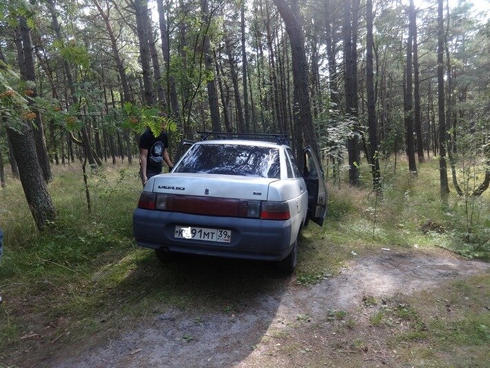 За месяц природоохранные инспекторы возбудили 79 административных дел за костры и палатки на Куршской косе - Новости Калининграда | Фото: пресс-служба нацпарка / Facebook