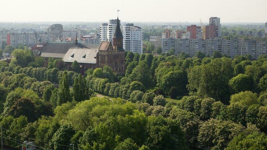 Где интересно провести время в Калининграде - Новости Калининграда | Архив &quot;Клопс&quot;