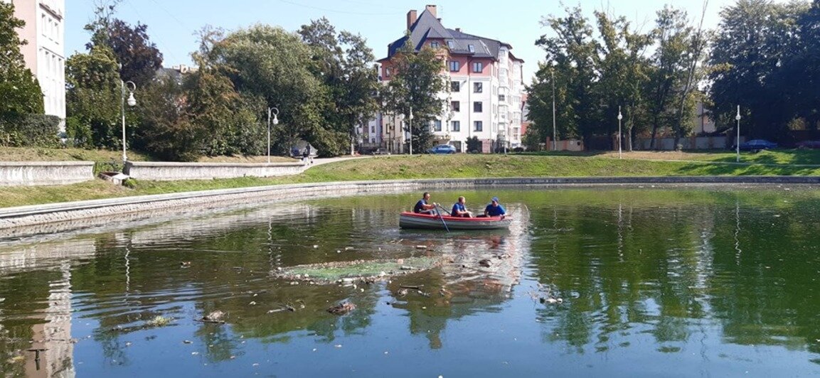 Городские спасатели выловили из Верхнего озера 32 мёртвые утки - Новости Калининграда | Фото: Пресс-служба администрация Калининграда