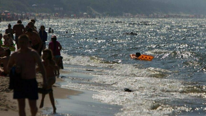 Эксперт рассказал об опасности купания в Балтийском море во время цветения водорослей - Новости Калининграда | Архив &quot;Клопс&quot;