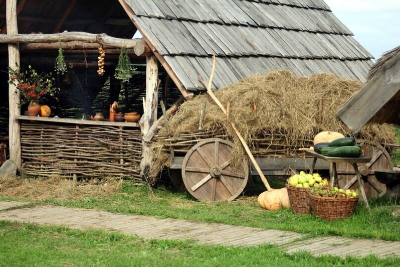 Славяне, викинги и пруссы: три калининградских фестиваля для любителей Средневековья - Новости Калининграда | Фото предоставлены организаторами