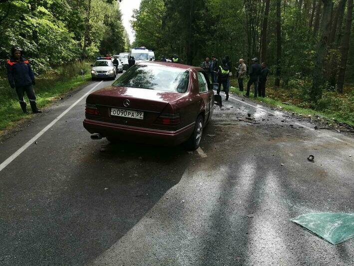 Под Светлым произошло лобовое столкновение автомобилей, пострадали два человека (фото, видео) - Новости Калининграда | Фото: очевидец