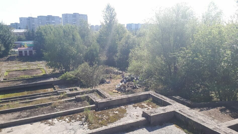"Ликвидировали свалку в центре города": что нашли при уборке территории у Дома Советов (фото) - Новости Калининграда | Фото: Сергей Ясинский