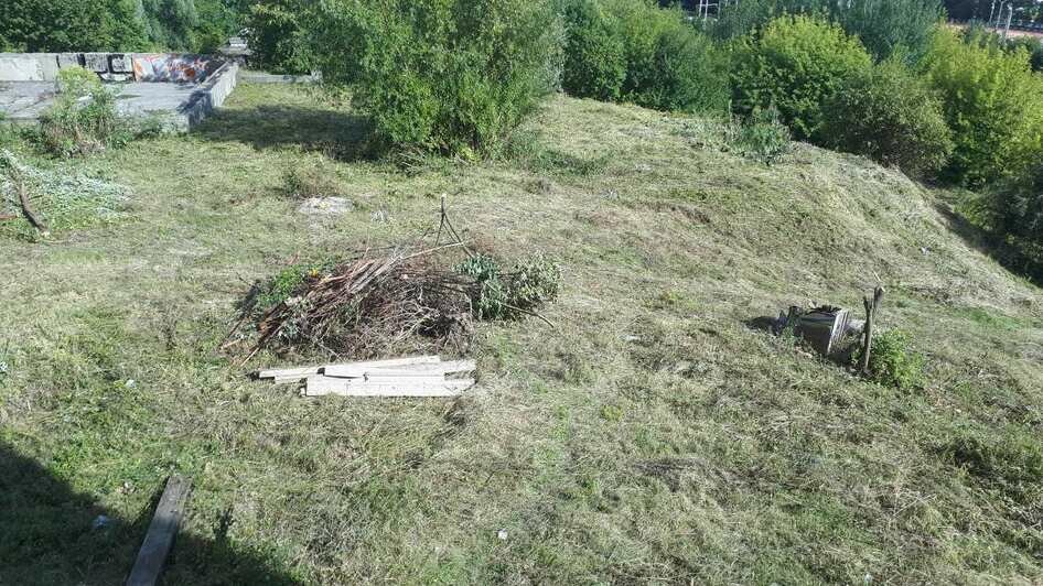 "Ликвидировали свалку в центре города": что нашли при уборке территории у Дома Советов (фото) - Новости Калининграда | Фото: Сергей Ясинский