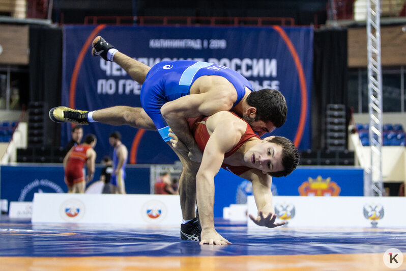 В Калининграде впервые стартовал чемпионат России по греко-римской борьбе (фоторепортаж) - Новости Калининграда | Александр Подгорчук / &quot;Клопс&quot;