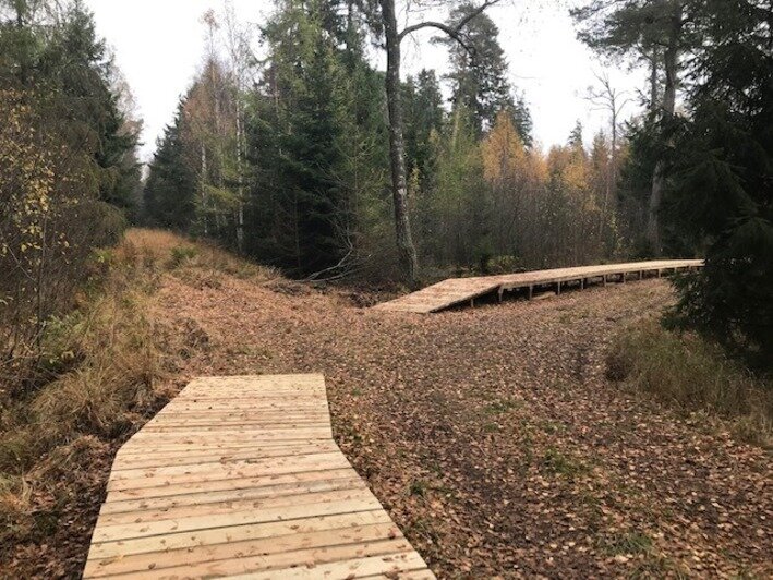 На Куршской косе тропу в Королевском бору продлили до поляны у залива (фото) - Новости Калининграда | Фото: национальный парк &quot;Куршская коса&quot; / Facebook