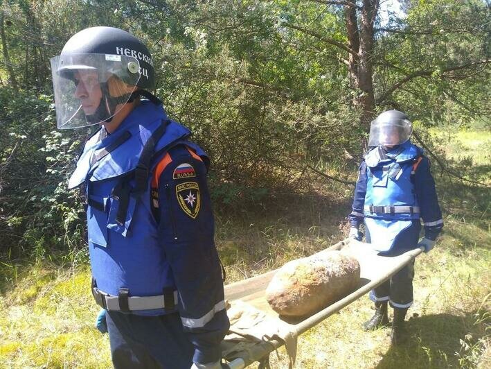 Авиабомба в болоте и фугас на торфяном поле: сапёры рассказали об опасных находках в Калининграде (фото) - Новости Калининграда | Фото: пресс-служба МЧС России