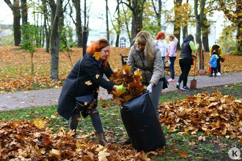 В Калининграде прошёл общегородской субботник (фоторепортаж) - Новости Калининграда | Фото: Виктор Буздин