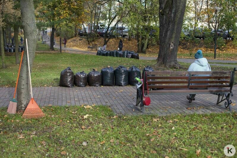 В Калининграде прошёл общегородской субботник (фоторепортаж) - Новости Калининграда | Фото: Виктор Буздин