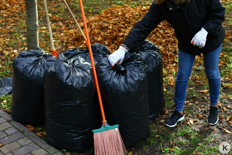 В Калининграде прошёл общегородской субботник (фоторепортаж) - Новости Калининграда | Фото: Виктор Буздин