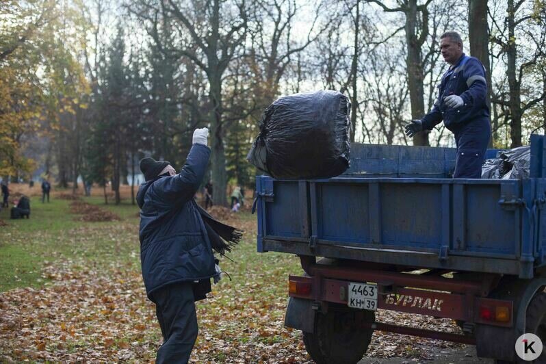 В Калининграде прошёл общегородской субботник (фоторепортаж) - Новости Калининграда | Фото: Виктор Буздин