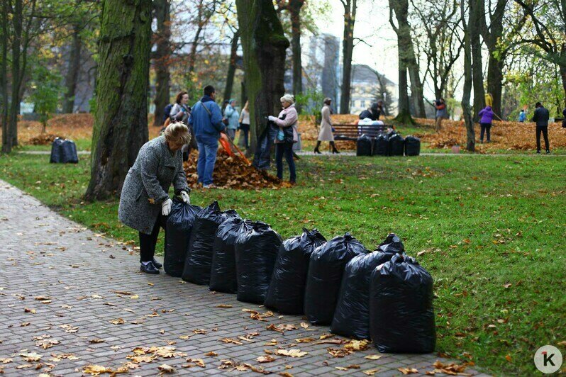 В Калининграде прошёл общегородской субботник (фоторепортаж) - Новости Калининграда | Фото: Виктор Буздин