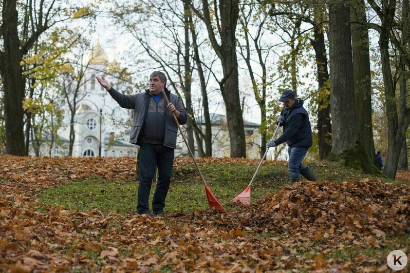 В Калининграде прошёл общегородской субботник (фоторепортаж) - Новости Калининграда | Фото: Виктор Буздин