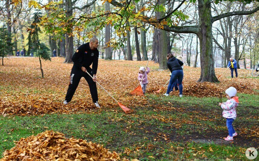В Калининграде прошёл общегородской субботник (фоторепортаж) - Новости Калининграда | Фото: Виктор Буздин