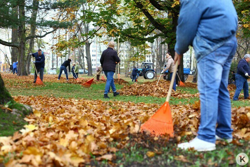 В Калининграде прошёл общегородской субботник (фоторепортаж) - Новости Калининграда | Фото: Виктор Буздин