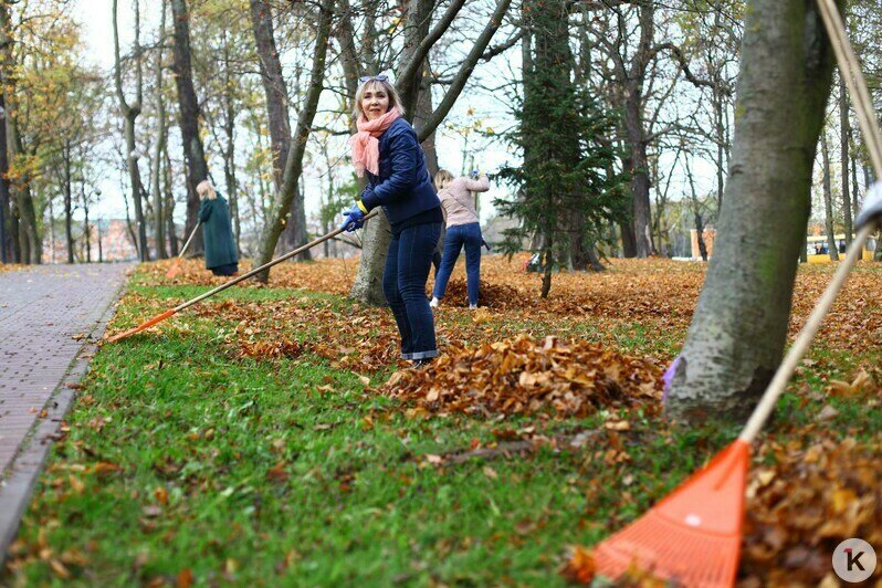 В Калининграде прошёл общегородской субботник (фоторепортаж) - Новости Калининграда | Фото: Виктор Буздин