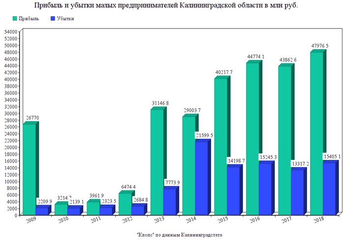 Калининградстат: прибыль малых предпринимателей области за десять лет выросла почти в 18 раз - Новости Калининграда