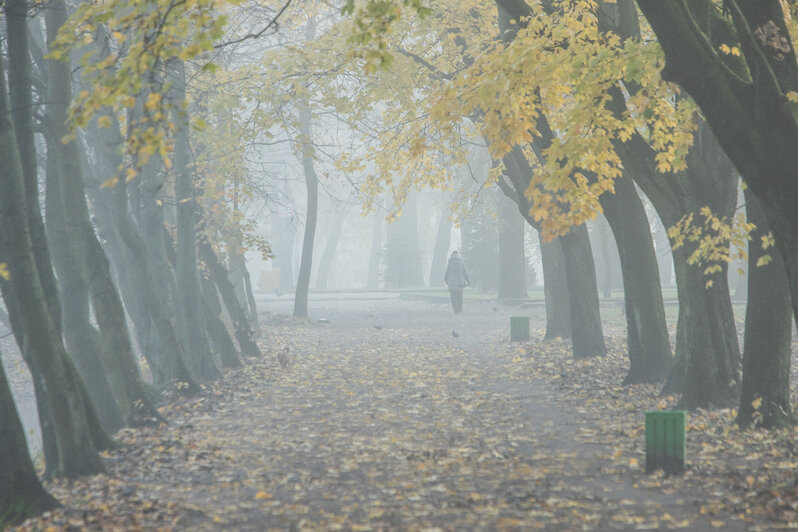 Сайлент Хилл в Калининграде: утренний туман в объективе фотографа "Клопс" - Новости Калининграда | Александр Подгорчук / &quot;Клопс&quot;