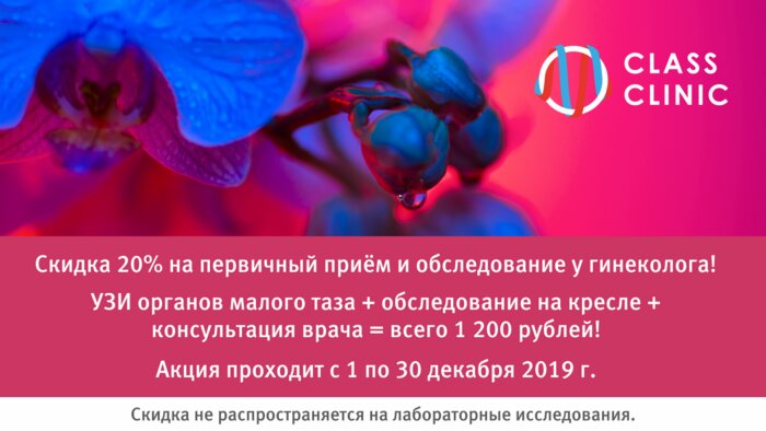 Ультразвуковое исследование органов малого таза и консультация гинеколога за 1 200 рублей - Новости Калининграда