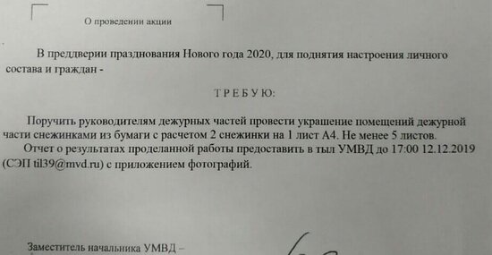 Двое калининградских полицейских разыграли сослуживцев, послав им поддельный приказ начальства вырезать снежинки (видео)   - Новости Калининграда | Фото: телеграм-канал BAZA