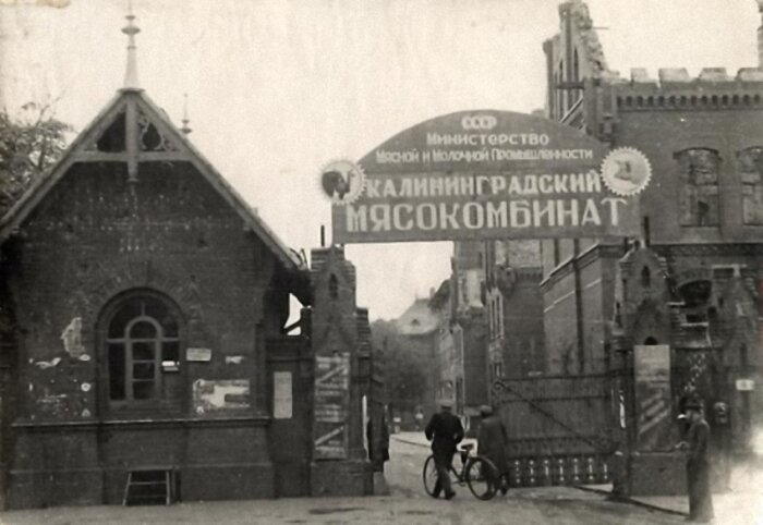 Калининградский Мясокомбинат, 1948 г. | Фото: Государственный архив Калининградской области