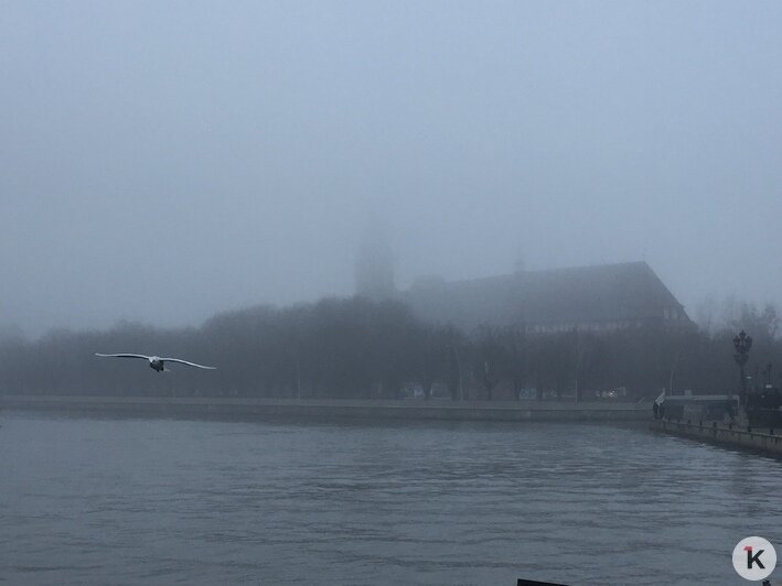 Калининград вечером в четверг накрыло туманом (фото) - Новости Калининграда | Фото: Александр Подгорчук / &quot;Клопс&quot;