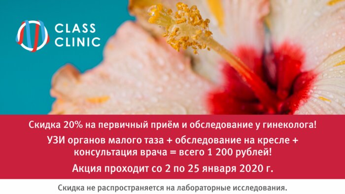 Ультразвуковое исследование органов малого таза и консультация гинеколога за 1200 рублей - Новости Калининграда