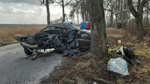В Гурьевском районе Audi врезался в дерево, погиб 34-летний водитель  