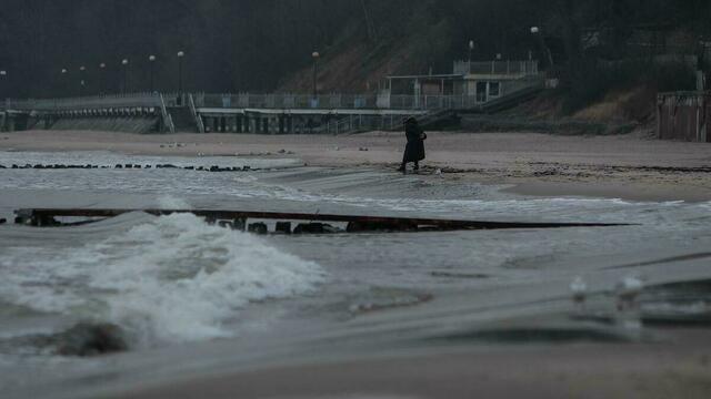 Открывается выставка из мусора, вынесенного морем под Балтийском