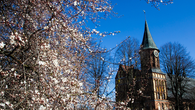 Синоптики рассказали о погоде в Калининграде на последние выходные марта
