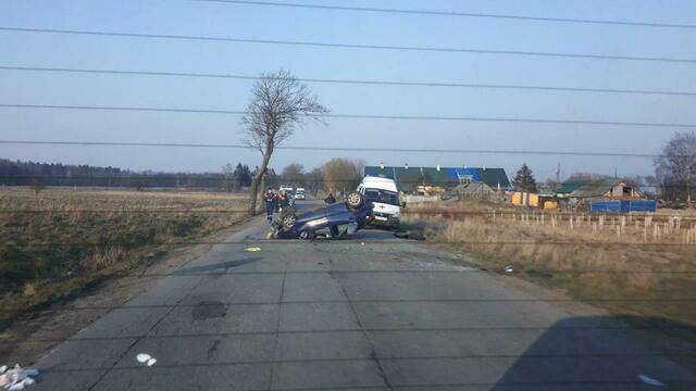 Очевидцы: на дороге под Светлогорском перевернулась легковушка (фото)