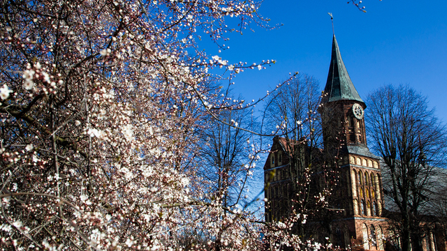 Синоптики рассказали о погоде в Калининграде на неделю